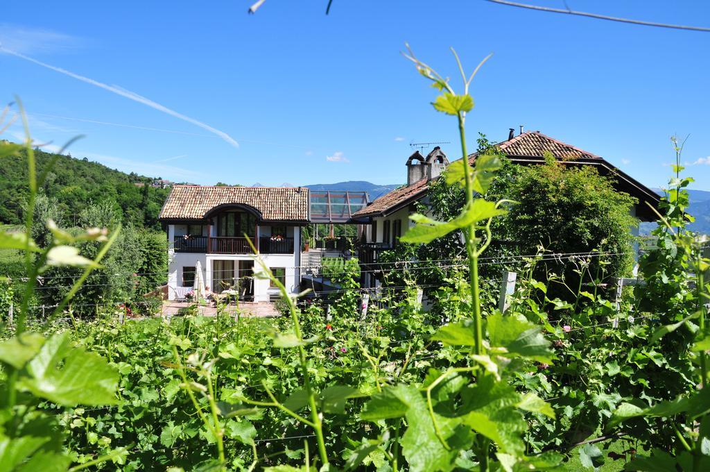 Weingut Weidlhof - Suite & Breakfast - Vacation For Wine Lovers Кальдаро Екстер'єр фото